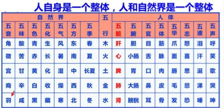 “高质量睡眠”引发是项目思考