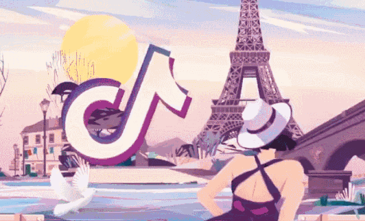 TikTok海外短视频带货陪跑运营