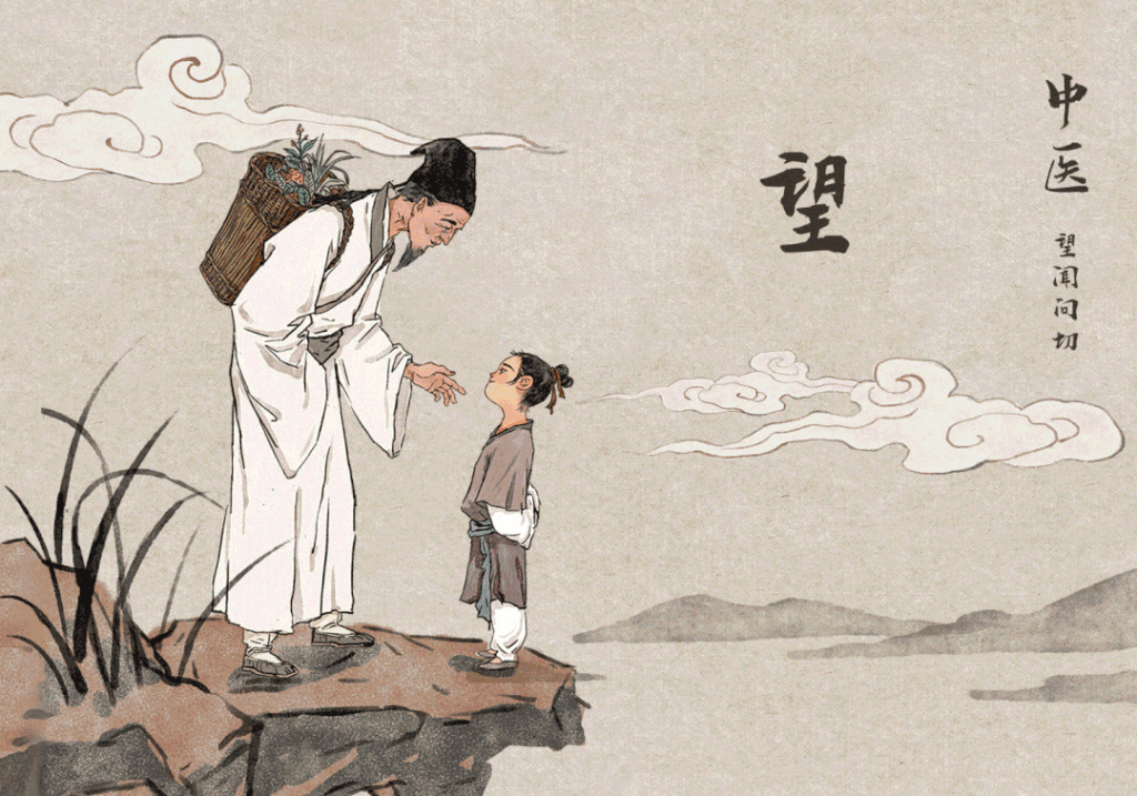 零基础学中医训练营